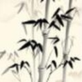 胡新民