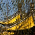 李光满专栏