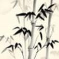 “9·11”表明资本主义体系并非和平发展的体系
