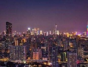 中国特色社会主义基本经济制度的新发展