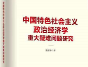 评简新华新书《中国特色社会主义政治经济学重大疑难问题研究》