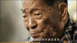 中国人自主掌握转基因技术就万事大吉了吗？