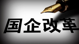 有林：国有化与私有化的若干历史经验值得注意