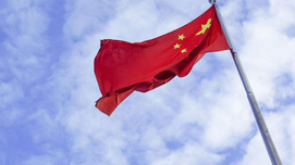 周新城：两个“毫不动摇”不是简单的并列关系