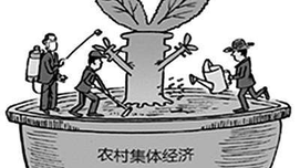 吕新雨: 农村集体经济的道路与制度