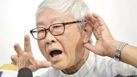 陈日君的乡愿风流