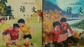 王小石：探究语文教材乱象之源