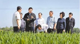 习近平同志关于深化农村土地制度改革的重要论述