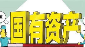 建立国有资产报告制度，加强人大国有资产监督职能