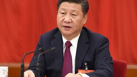 学习贯彻以习近平同志为核心的党中央治国理政新理念