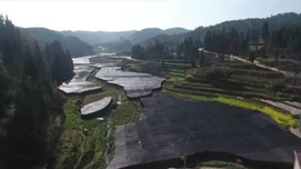 塘约道路：最重要的就是重新组织起来
