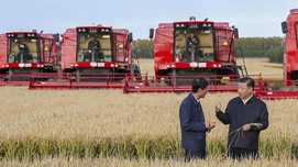 关于中国饭碗，习近平这样说