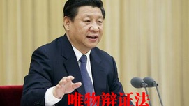 习近平的“辩证法”