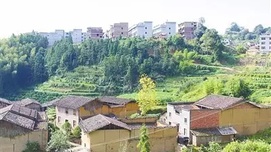 李昌平：现在是农村改革最难的时候