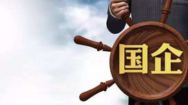 卢荻 | 国企面面观：从众说纷纭中理出头绪来