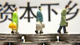 “资本下乡”与村庄的再造