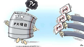 从PX项目反思地方政府民主程序建设