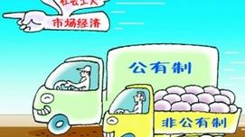 周新城:刍议生产资料公有制