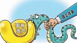警惕有人乘发展混合所有经济之机，瓜分国有资产