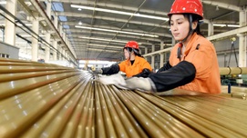 顾秀莲：加强中国妇女运动史研究