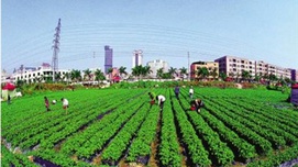 学习讲话 | 为什么新中国选择土地集体所有制？
