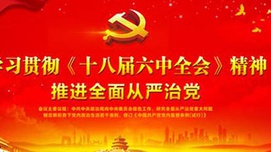 从严治党宜探索群众参与之路
