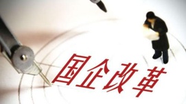 卫兴华：发展混合所有制不能“城头变幻大王旗”