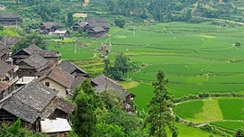 中国农村反贫困问题研究:类型、误区及对策