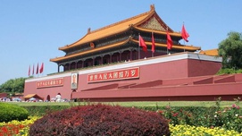 张树华：新中国道路独特而又彰显共同价值