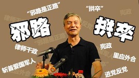侮毛者——反噬中国的癌变细胞