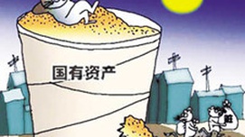 私有化是一个致命的政治问题