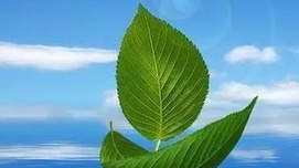 领导世界，中国仍存四大硬伤
