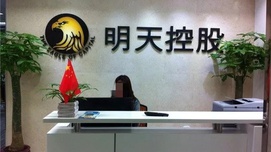 对“明天系”3万亿金融大厦将倾的思考