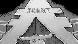 王今朝：价格双轨制是经济学理论的“香饽饽”吗？
