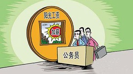 去伪求真：闲侃公务员工资与两极分化