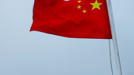 英共（马）：像扞卫自己的自由一样扞卫中国的自由