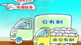 维护社会主义公有制主体地位的若干观点
