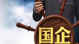 宋方敏：论对社会主义国有经济理论的坚守和创新