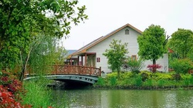 蒋巷村：江南的“世外桃源”