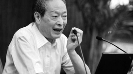 质疑杨天石:给蒋介石吹喇叭就能促进两岸统一?