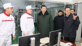 习近平：让祖国的下一代喝上好奶粉，我很重视