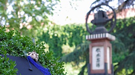 我们的教育全盘西化，已经超过了西方某些高等学校