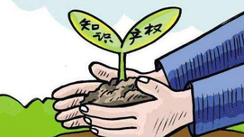 冯象：保护知识产权应兼顾群众利益