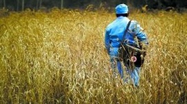 为什么赤脚医生不用假药？