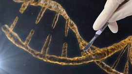 美国阻扰《生物武器公约》的实施意在发动基因战争