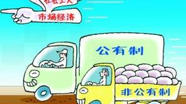 简新华：中国社会主义市场经济体制的新探索