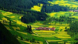吕新雨：国家政权与乡村建设