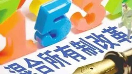 谁在利用混改围猎央企？