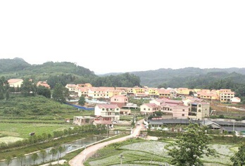 塘约道路