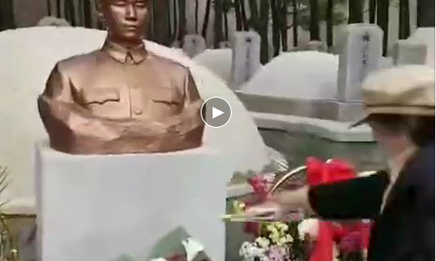 千钧棒：岸英卫国芳千古，公知泼污臭万年